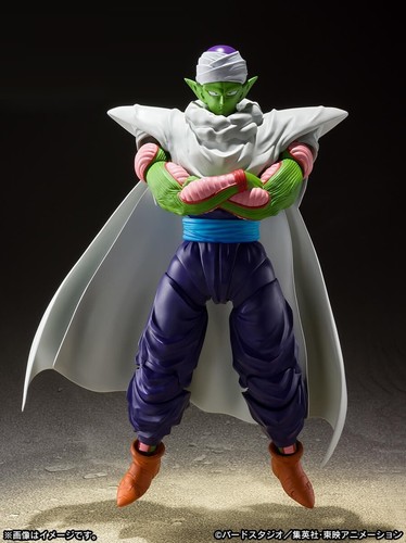 Piccolo - (the, namekian)